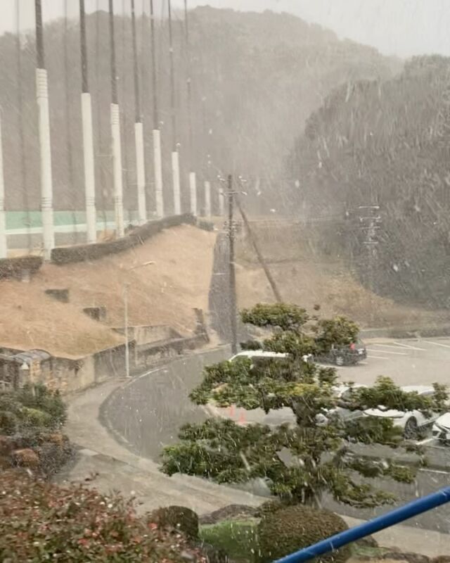 約1ヶ月前は雪❄️が降るほど寒い日もありましたが
今日は雲ひとつなく 気温も高めで気持ちいい日になりましたね
🏌️‍♂️コースを回ったりするには最高の季節かもしれないですね

ただ 花粉症の方にはツラい季節になってきました
目👀が痒かったり 鼻水🤧が出たり くしゃみ😷が出たり
集中力が無くなったり🥱

少しでも症状が軽くなるように
外出する際には しっかり対策していきましょう

#パシフィック
#ゴルフ
#豊川
#花粉症
#対策
